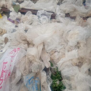 Discarded Plastic Bags
