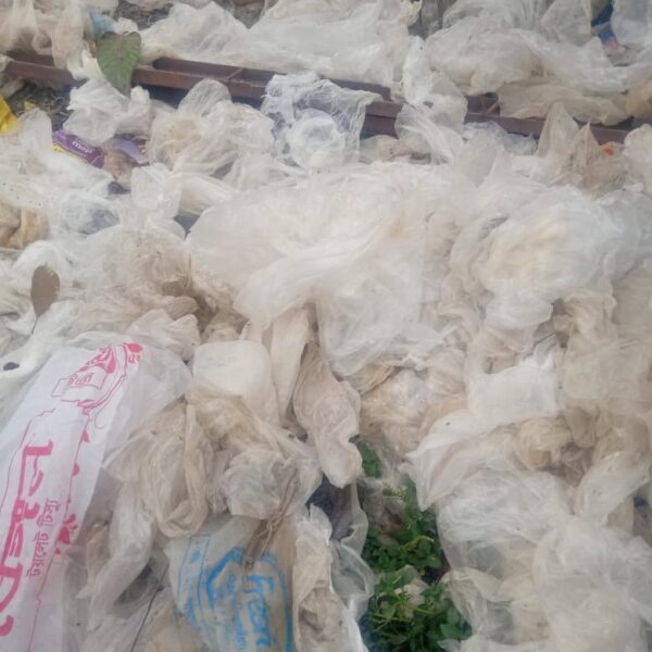 Discarded Plastic Bags